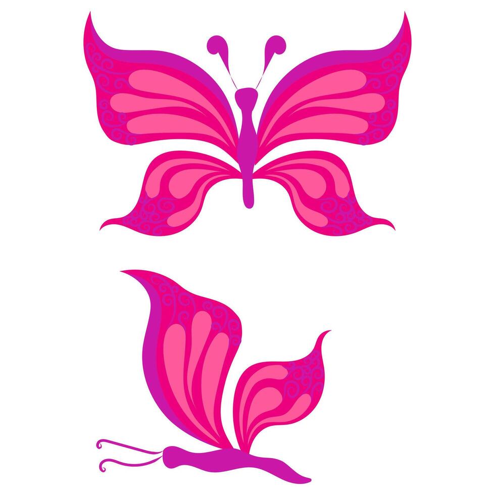Butterfly with open wings and closed wings. illustration isolated on white background. vector