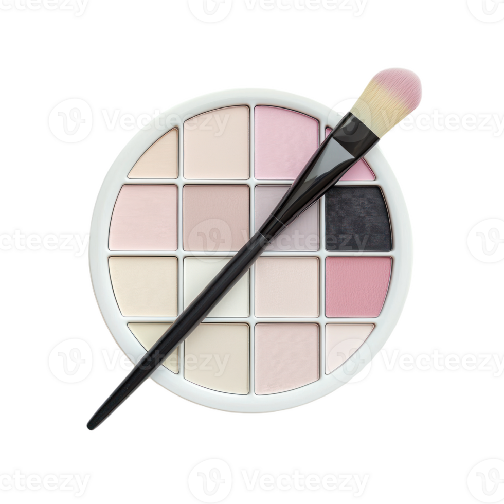 Minimalist Color Palette with Elegant Brush Isolate transparency Background png