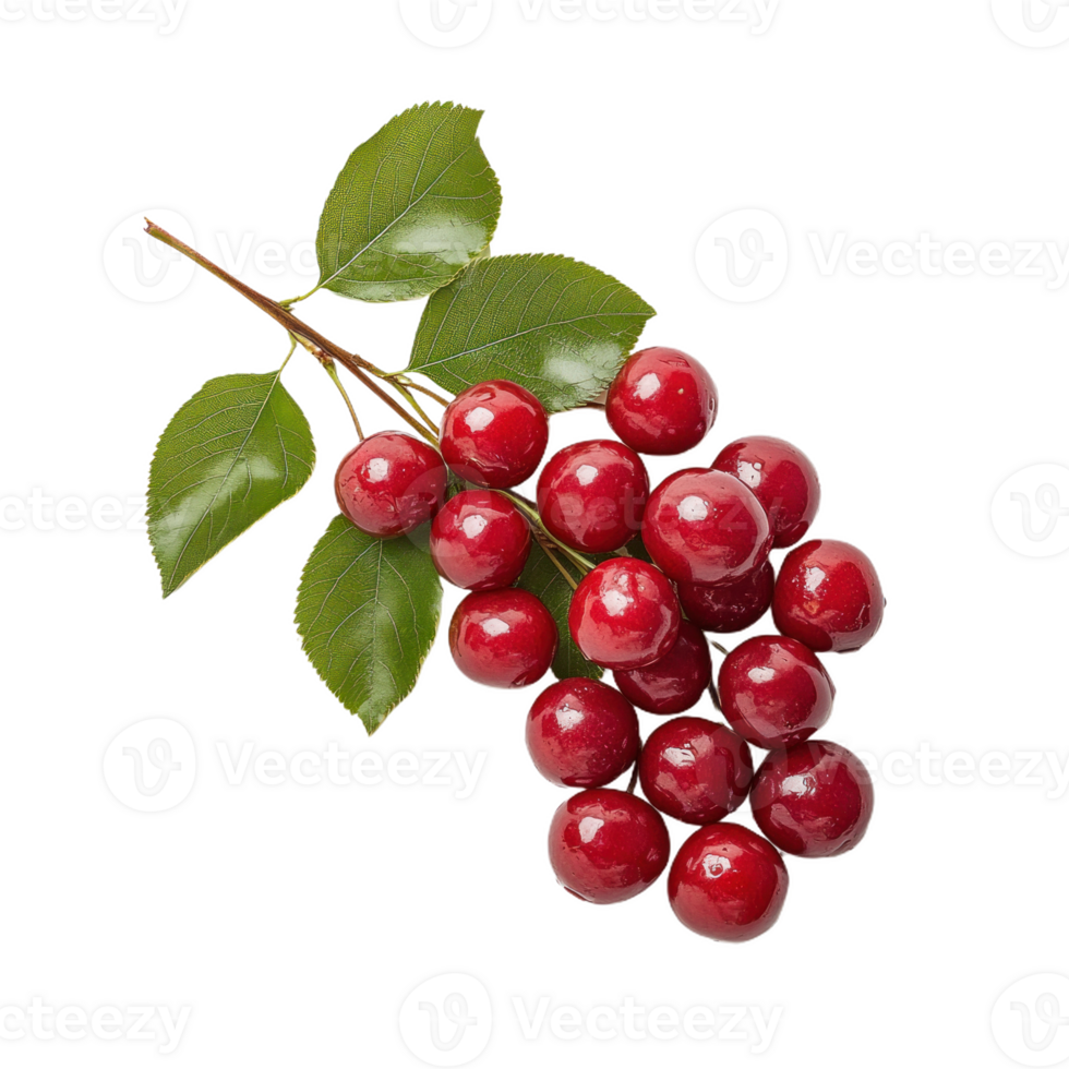 Stylish Red Cherry Composition png