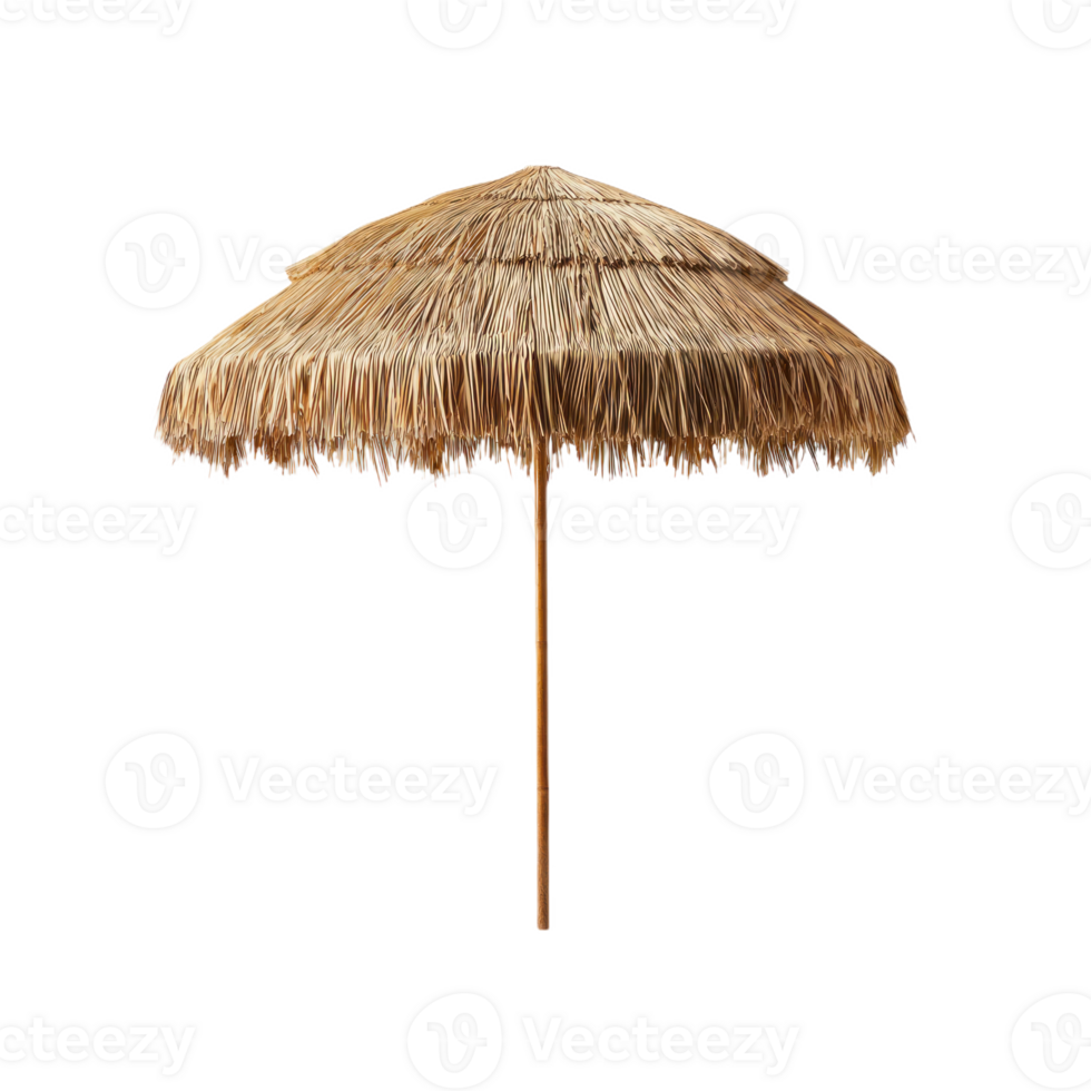 Chic Straw Beach Umbrella with Wooden Frame Isolate transparency Background png
