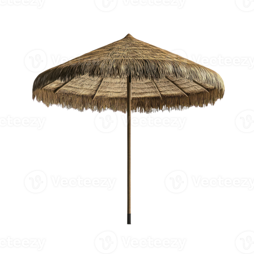 Elegant Straw Beach Umbrella Isolate transparency Background png