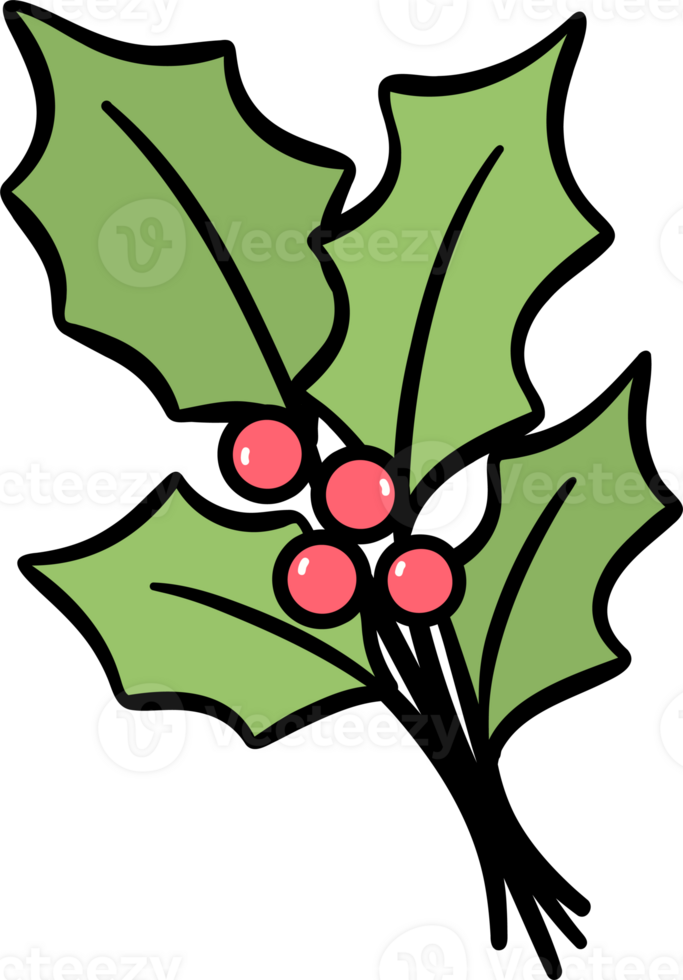 Illustration Of Holly Leaves And Berries 51479272 PNG Illustration Of Holly Leaves And Berries Png