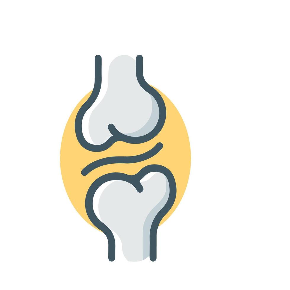 Bone joints Generic color for orthopedic vector