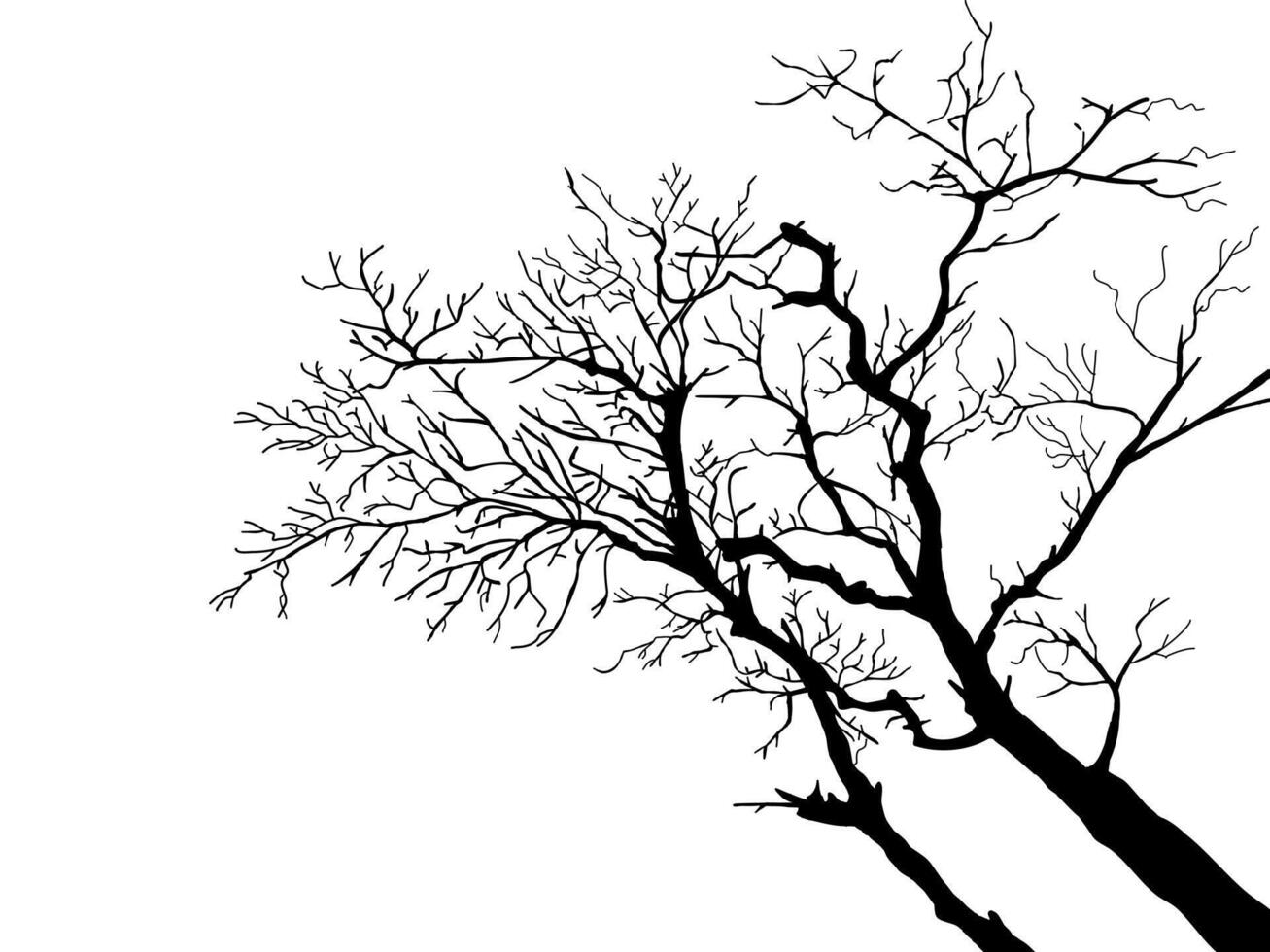 Black Branch Tree or Naked trees silhouettes set. Hand drawn isolated illustrations. vector