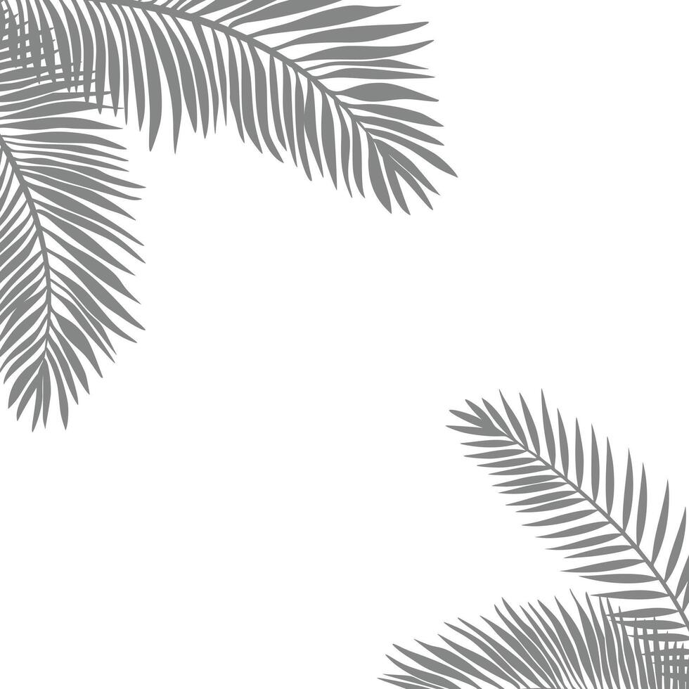 palm leaves background images Right Corner Left Top Down vector