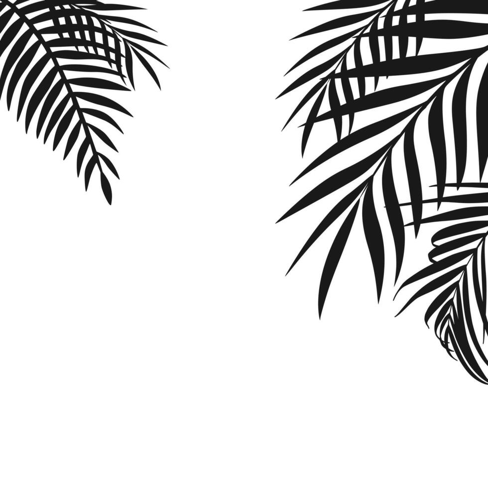 palm leaves background images black top leaf isolated white background vector
