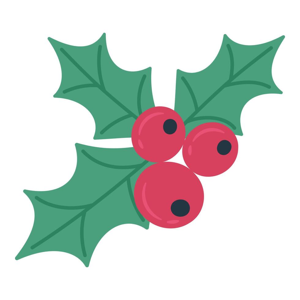 Holly branch for Christmas on a white background vector