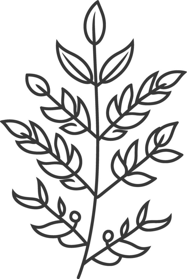 Line Drawing of a Branch with Leaves and Berries vector