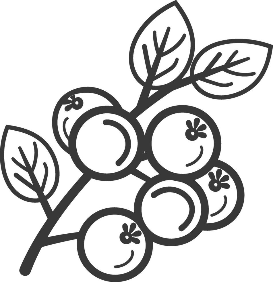 Line Drawing of a Branch with Five Blueberries and Leaves vector