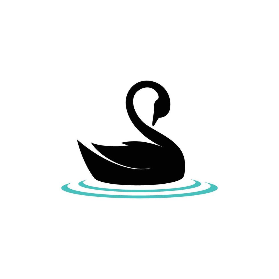 black swan isolated on white vector