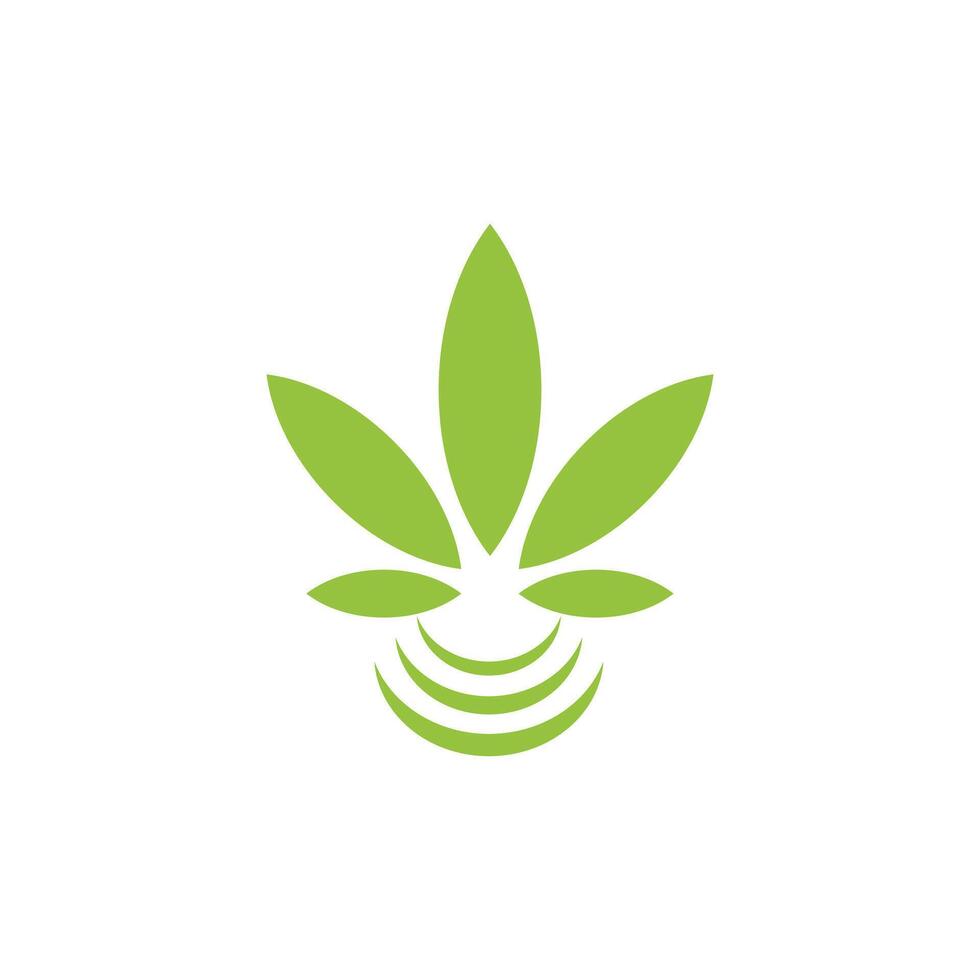 Marijuana cannabis hemp leaf icon vector