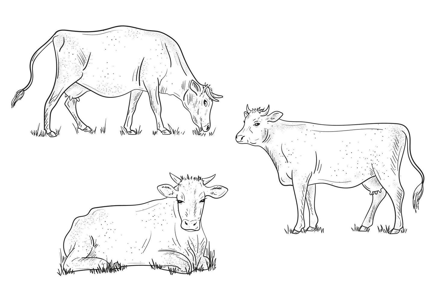 Set of cow sketches. grazing in the meadow. vector