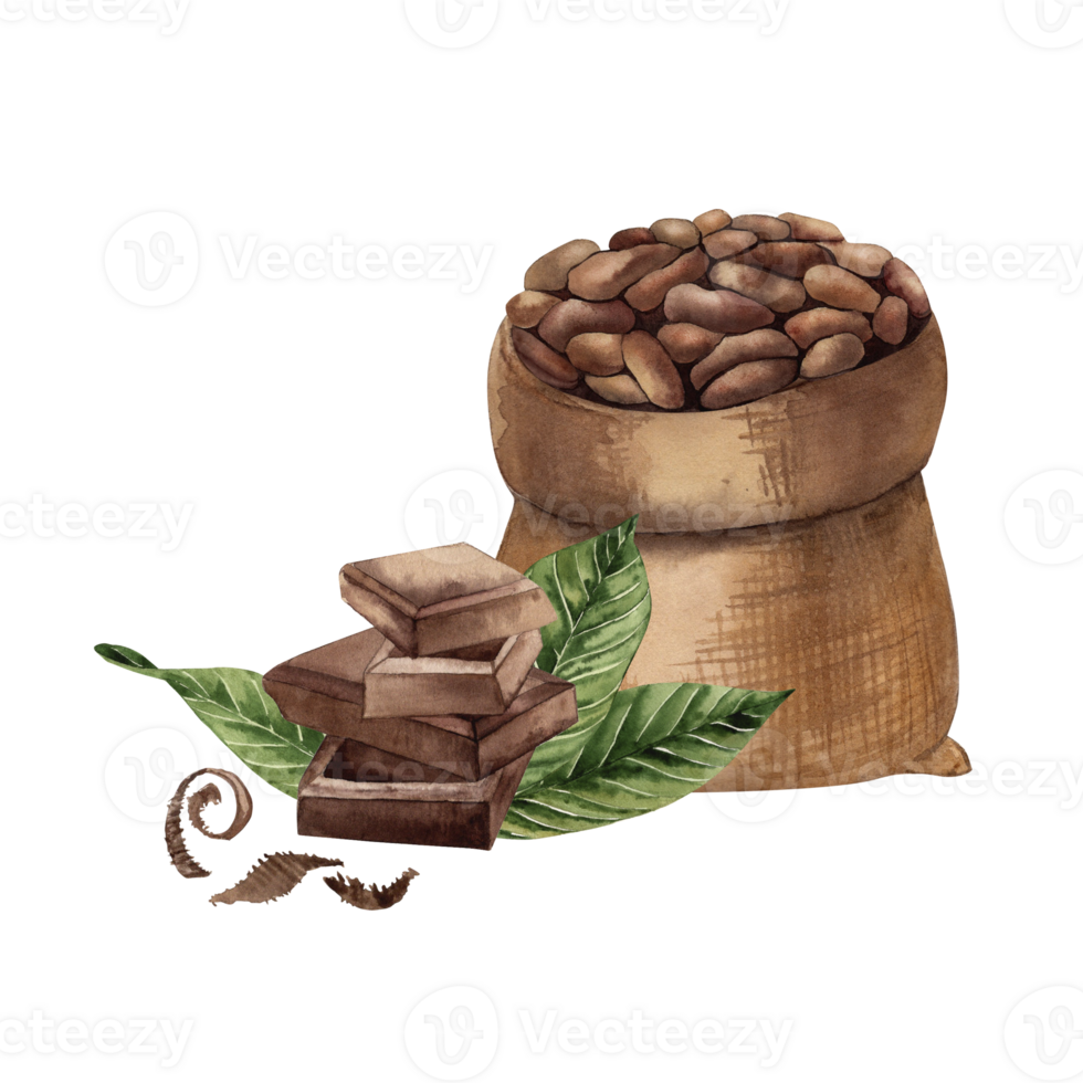Cocoa beans in burlap with leaves and chocolate pieces watercolor illustration. Hand drawn jute bag full of beans and seeds in brown and green tones for botanical style chocolate packaging design png