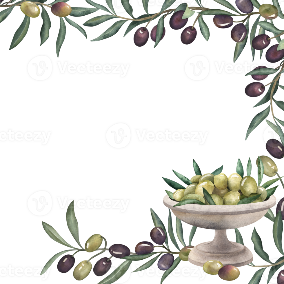 Frame decorated with illustrations of branches, olive leaves, vase, plate filled with olives. The plant and dishes are hand-drawn with watercolors in a botanical style. For menu design, packaging png