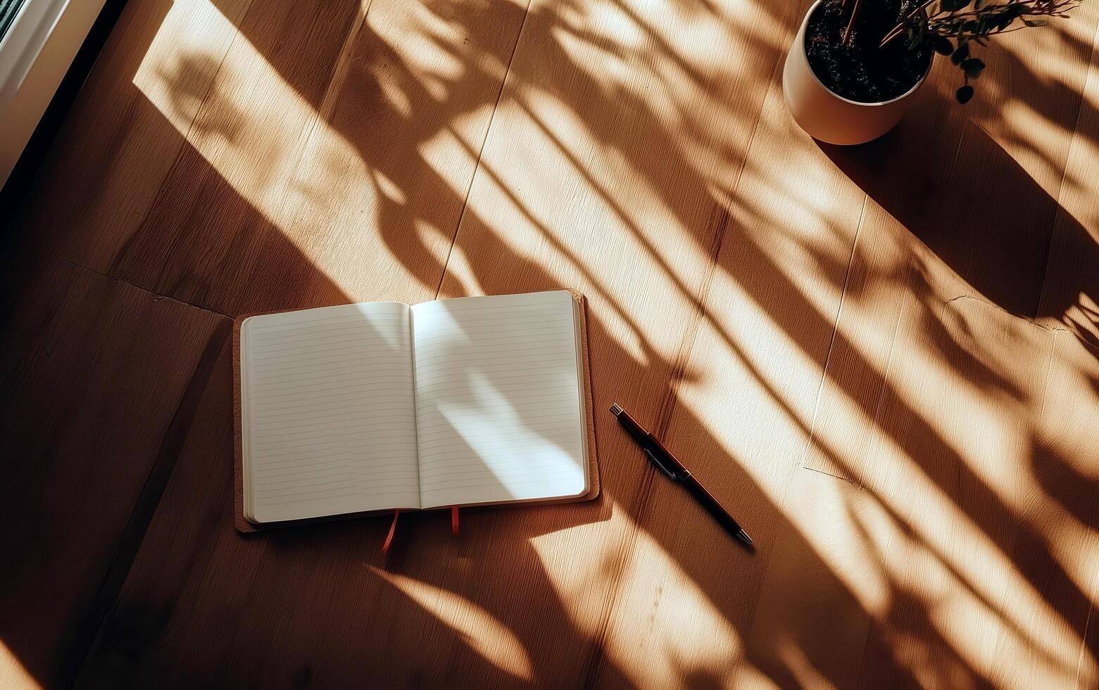 Flat lay wooden desk for back to school and educational concept. Notepad, mug, plants and supplies with empty space for text. photo