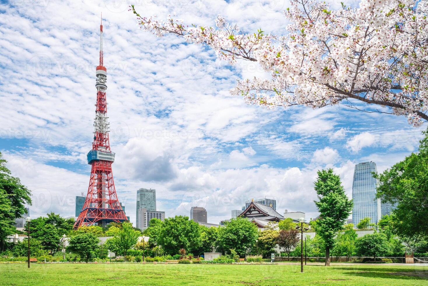 main hall of zojoji and tokyo tower located at Tokyo city in japan photo