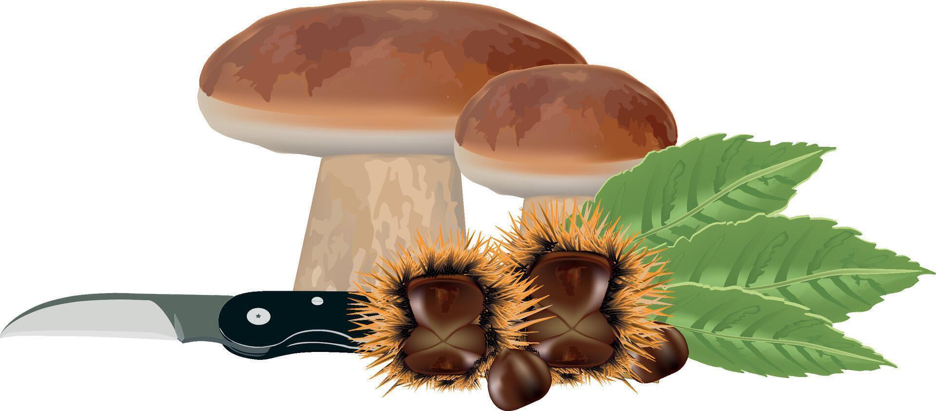 Mushrooms and a knife with leaves vector