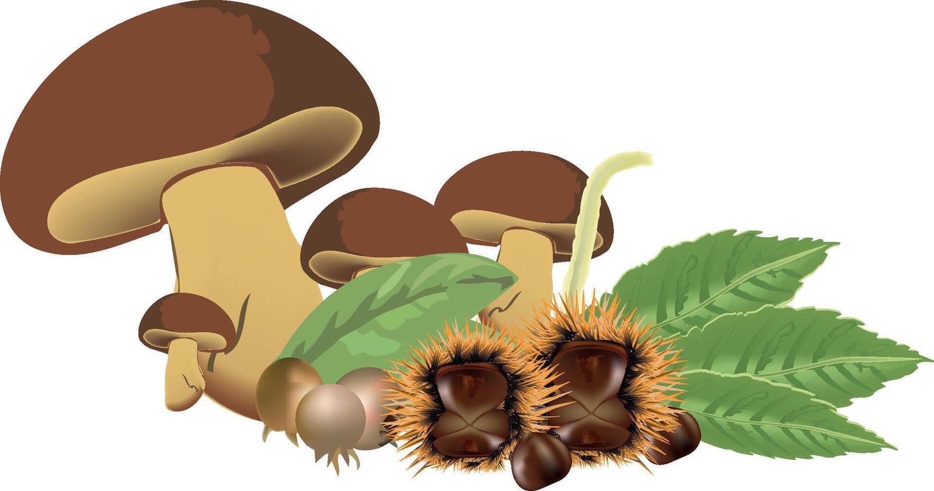 harvest of undergrowth chestnuts and medlar mushrooms mushroom vector
