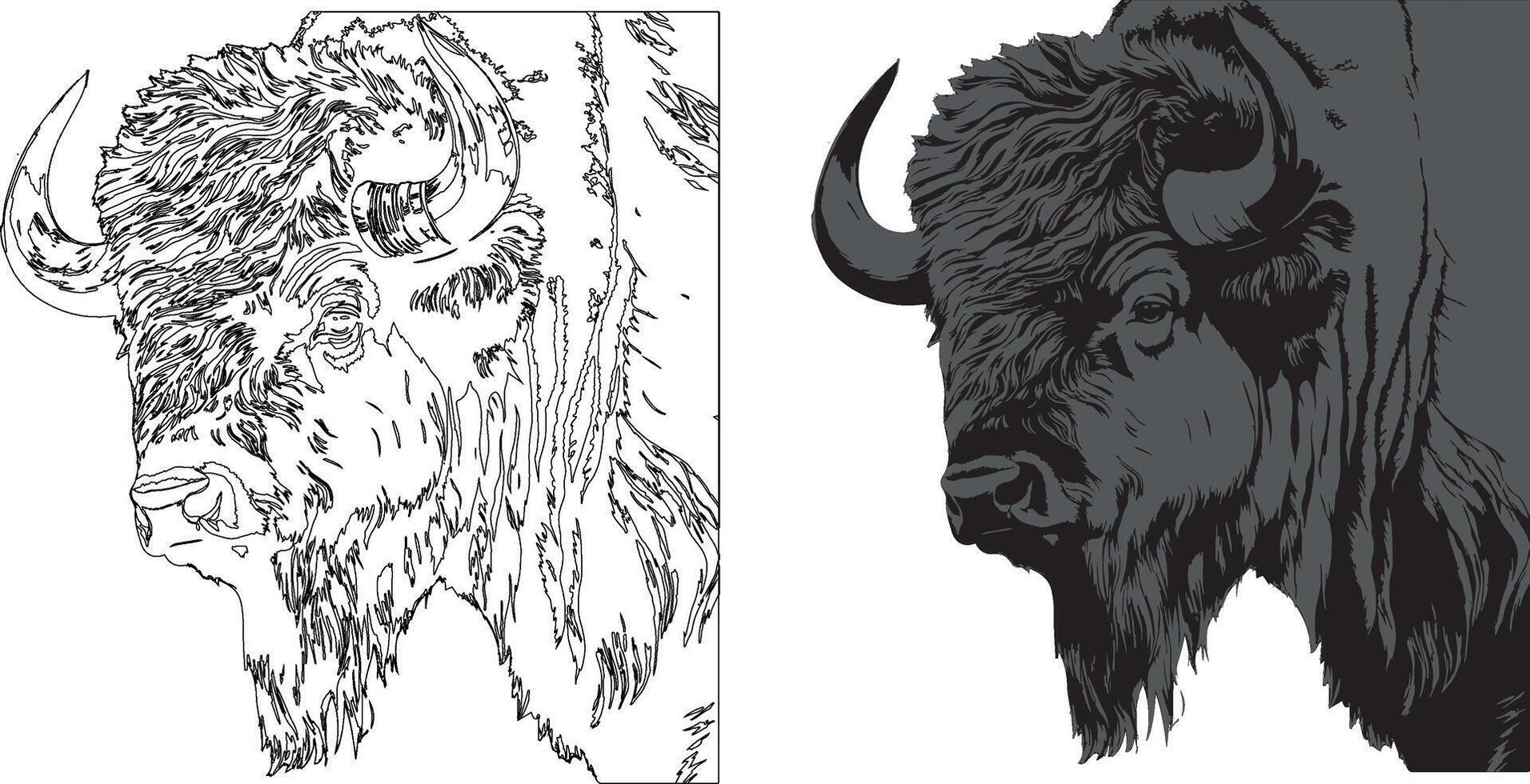 Two bison heads are shown in black and white vector