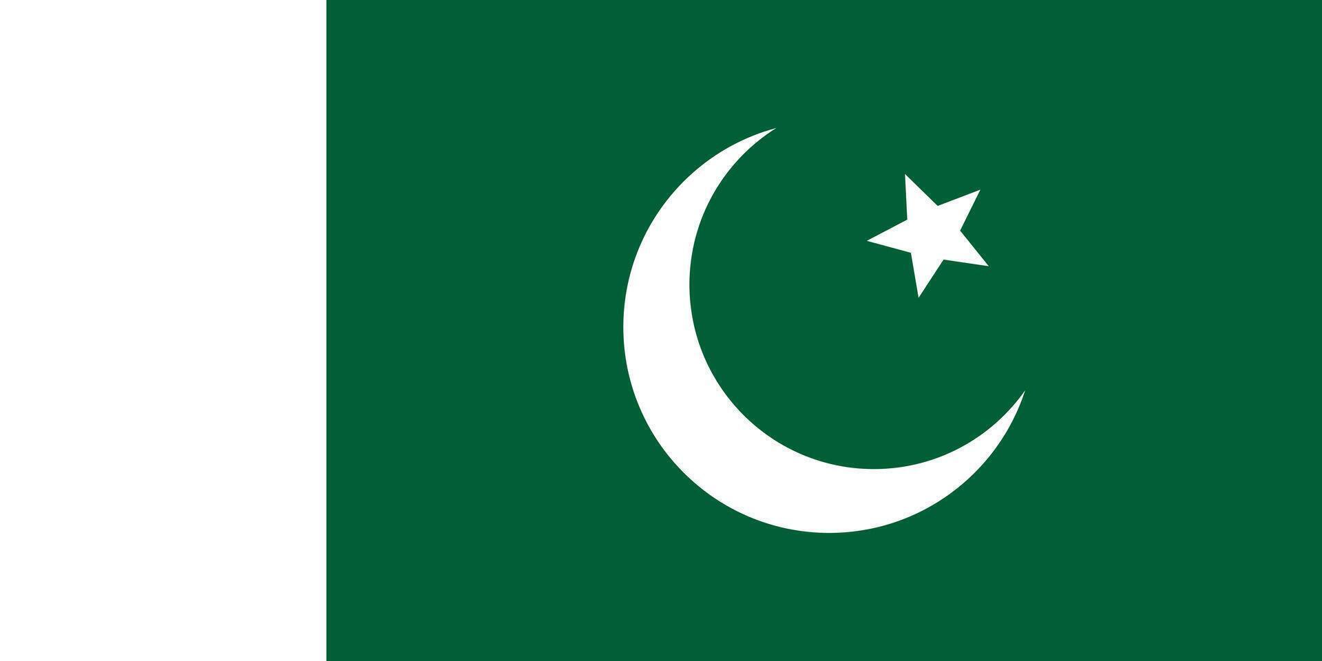 Flag of Pakistan. An illustration of the Pakistan flag. A rectangular flag. Standard size flag icon. vector