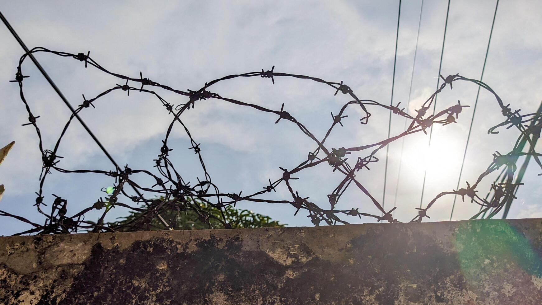 barbed wire to prevent theft photo