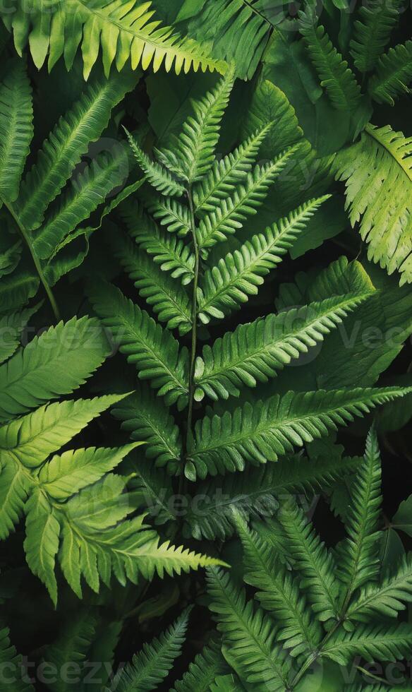 Close-up of thick fern leaves layered together, creating a deep green textured pattern, low natural lighting, high contrast photo