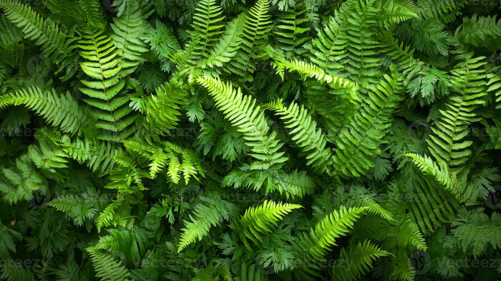 Pattern of overlapping fern fronds, tightly packed with rich, dark green hues, soft ambient light, natural forest vibe photo