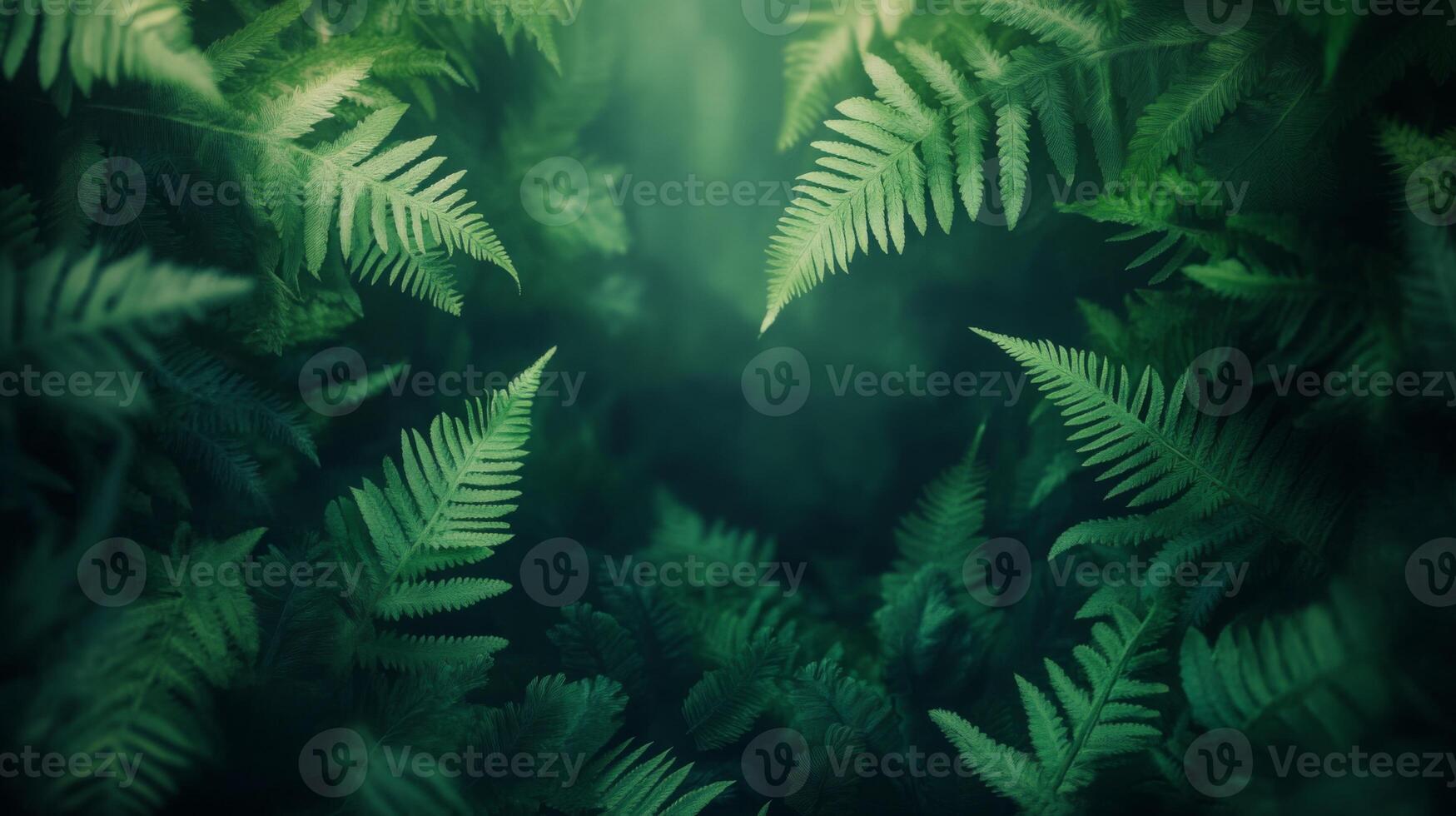 Overlapping fern leaves filling the entire frame, dark green tones with soft, diffused light, creating a mysterious forest atmosphere photo
