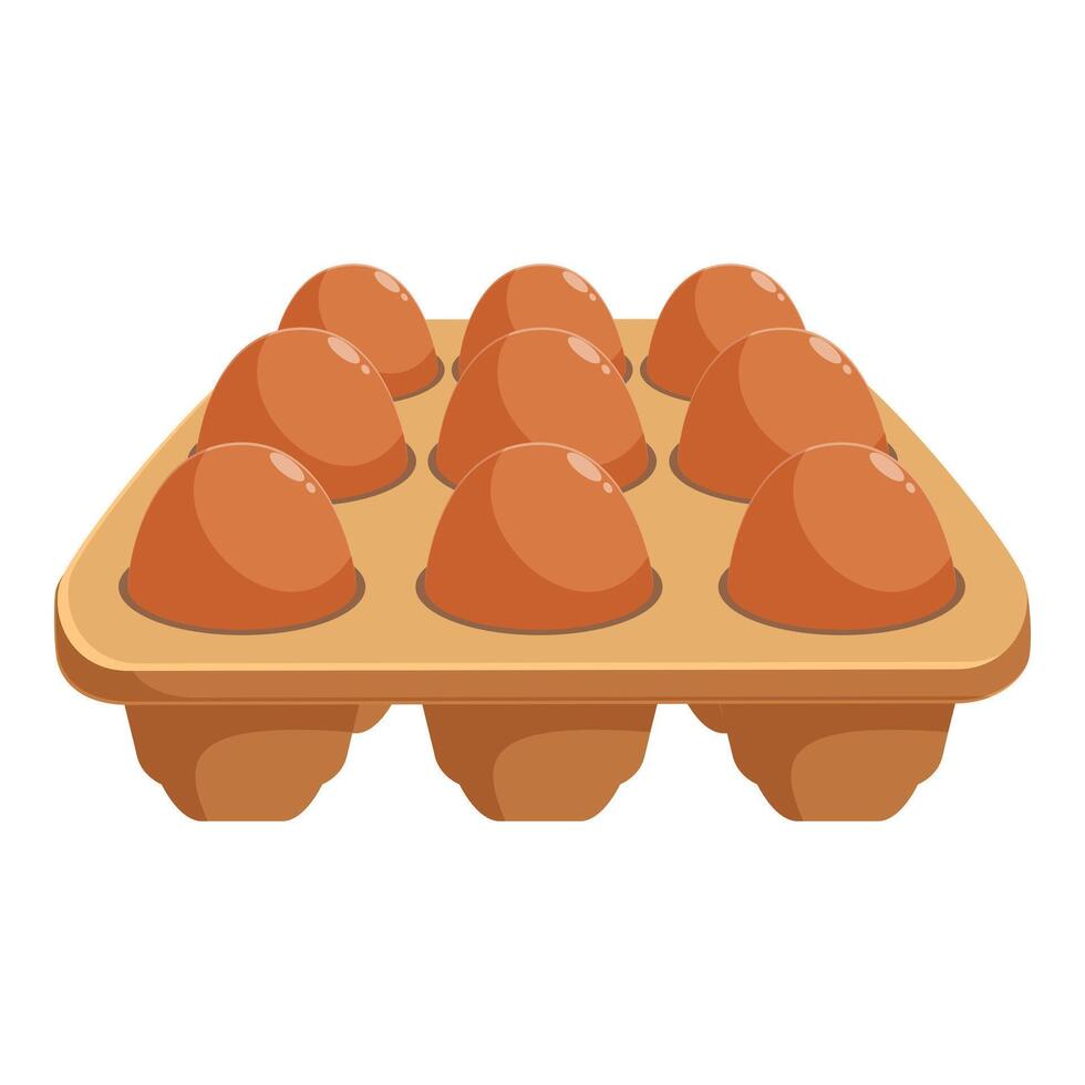 Cardboard egg tray holding ten brown chicken eggs vector
