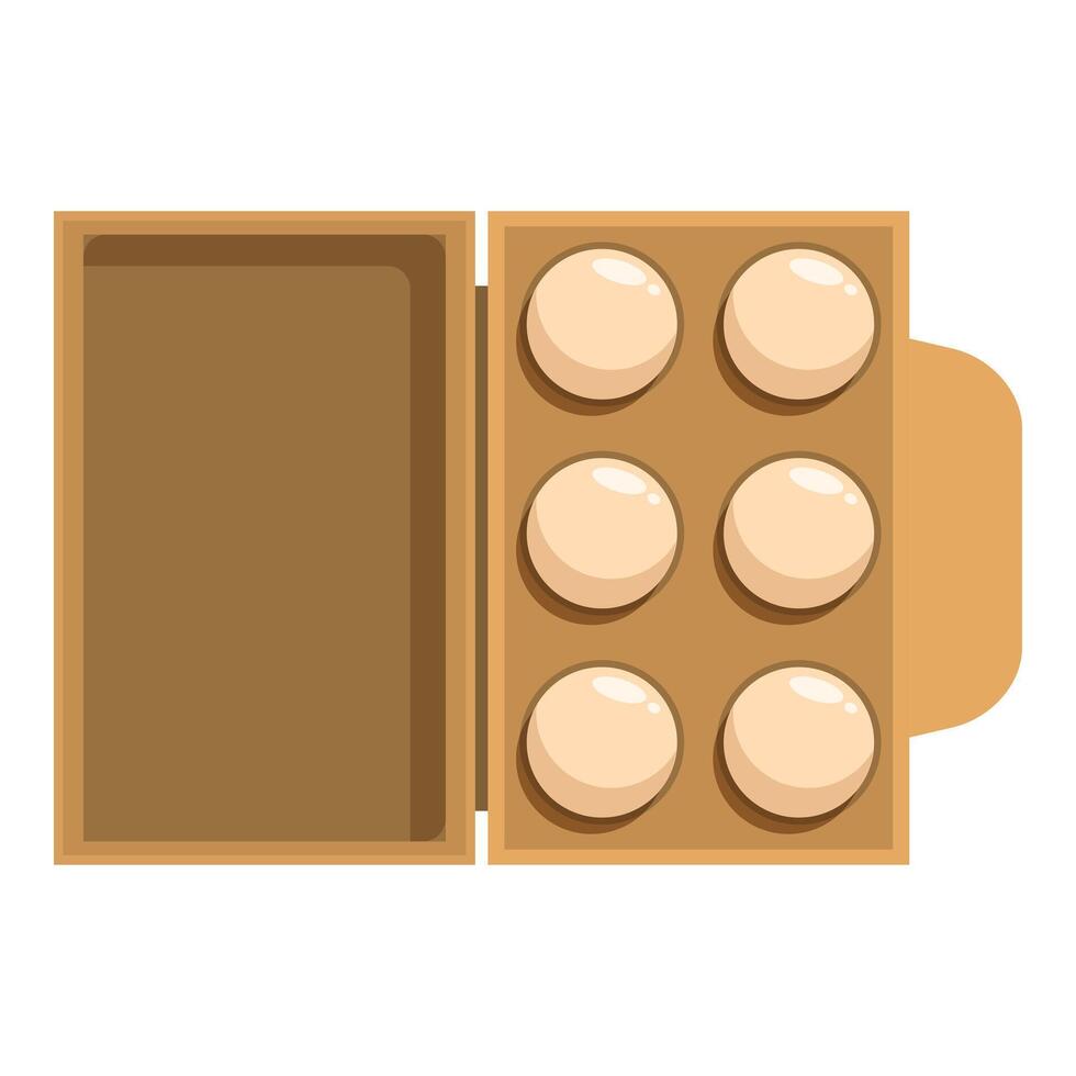 Open box of chicken eggs vector