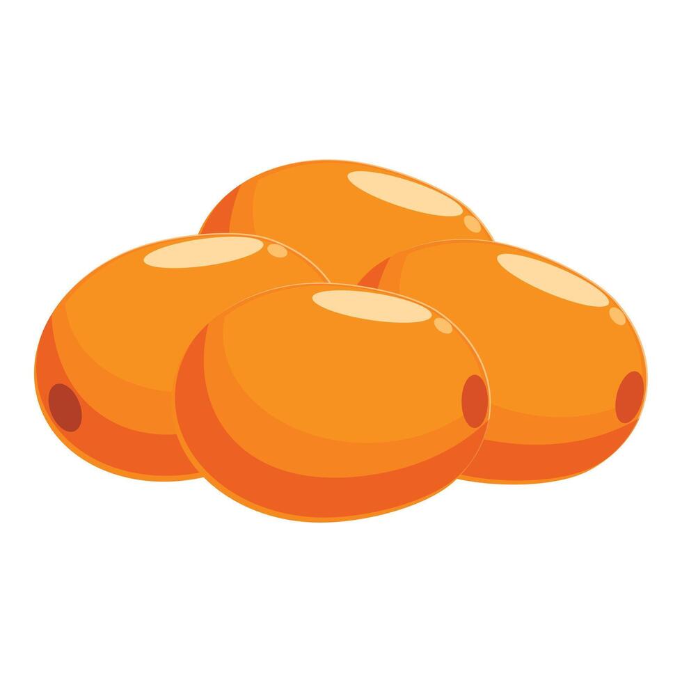 Fresh sea buckthorn berries lying on white background vector