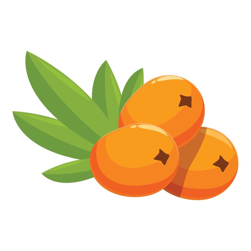 Three ripe sea buckthorn berries with leaves displaying vibrant orange color vector