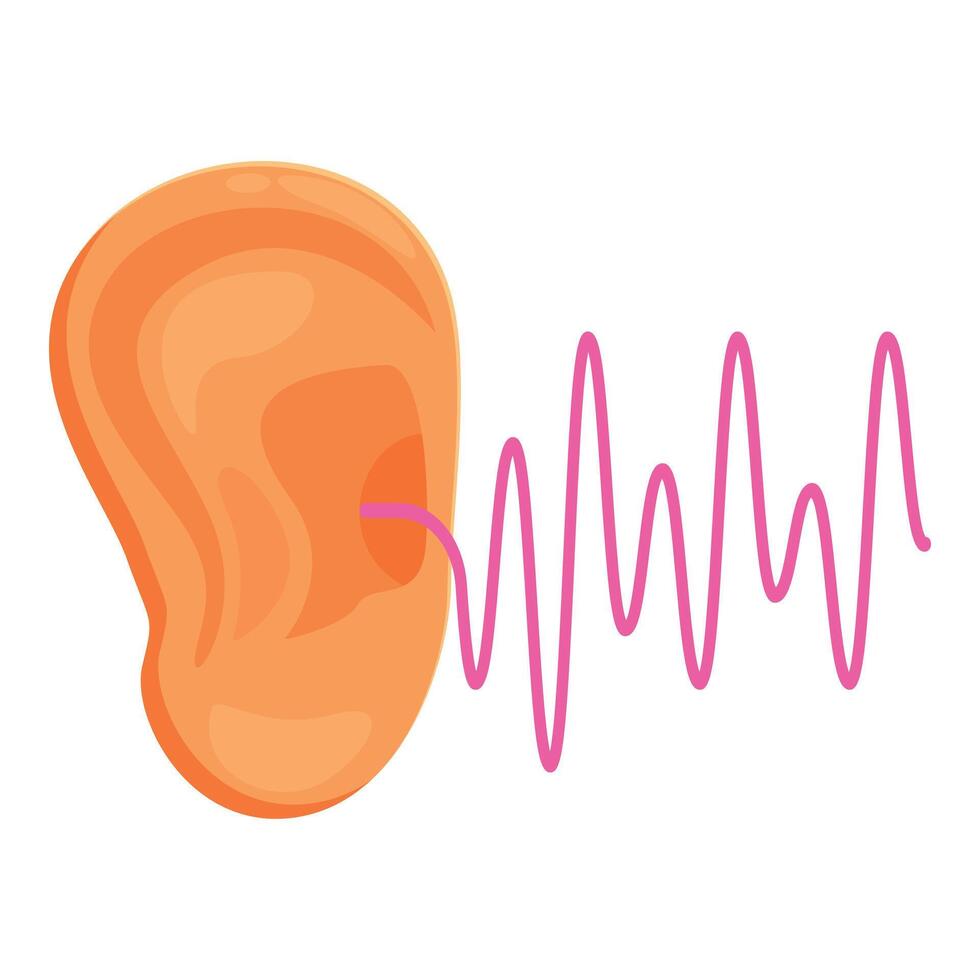 Human ear hearing sound wave vibrating through auditory canal vector