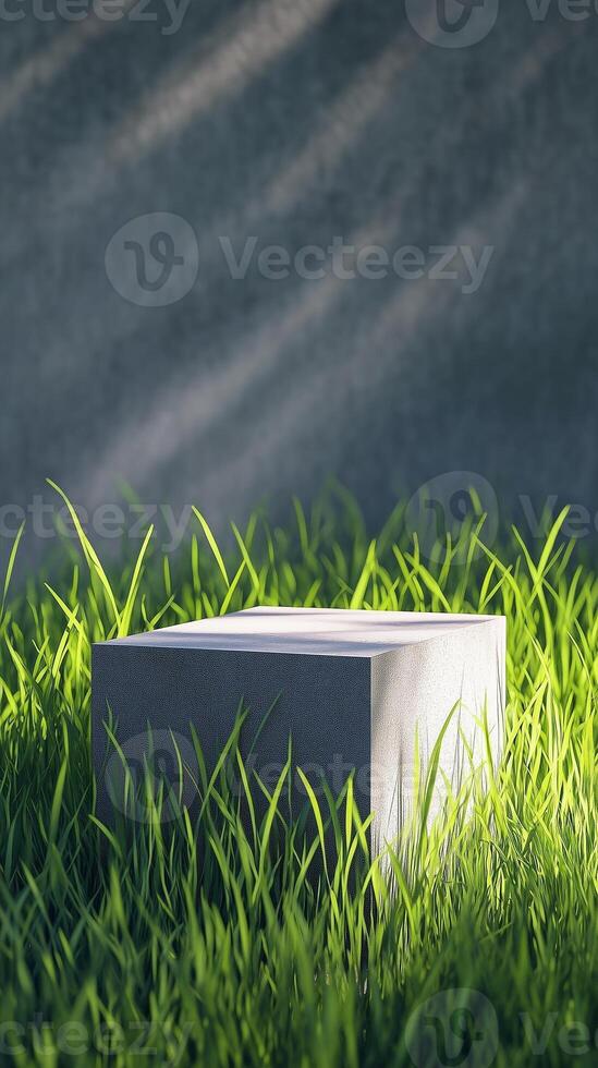 Dark background with shadow and black block stage podium story with grass photo