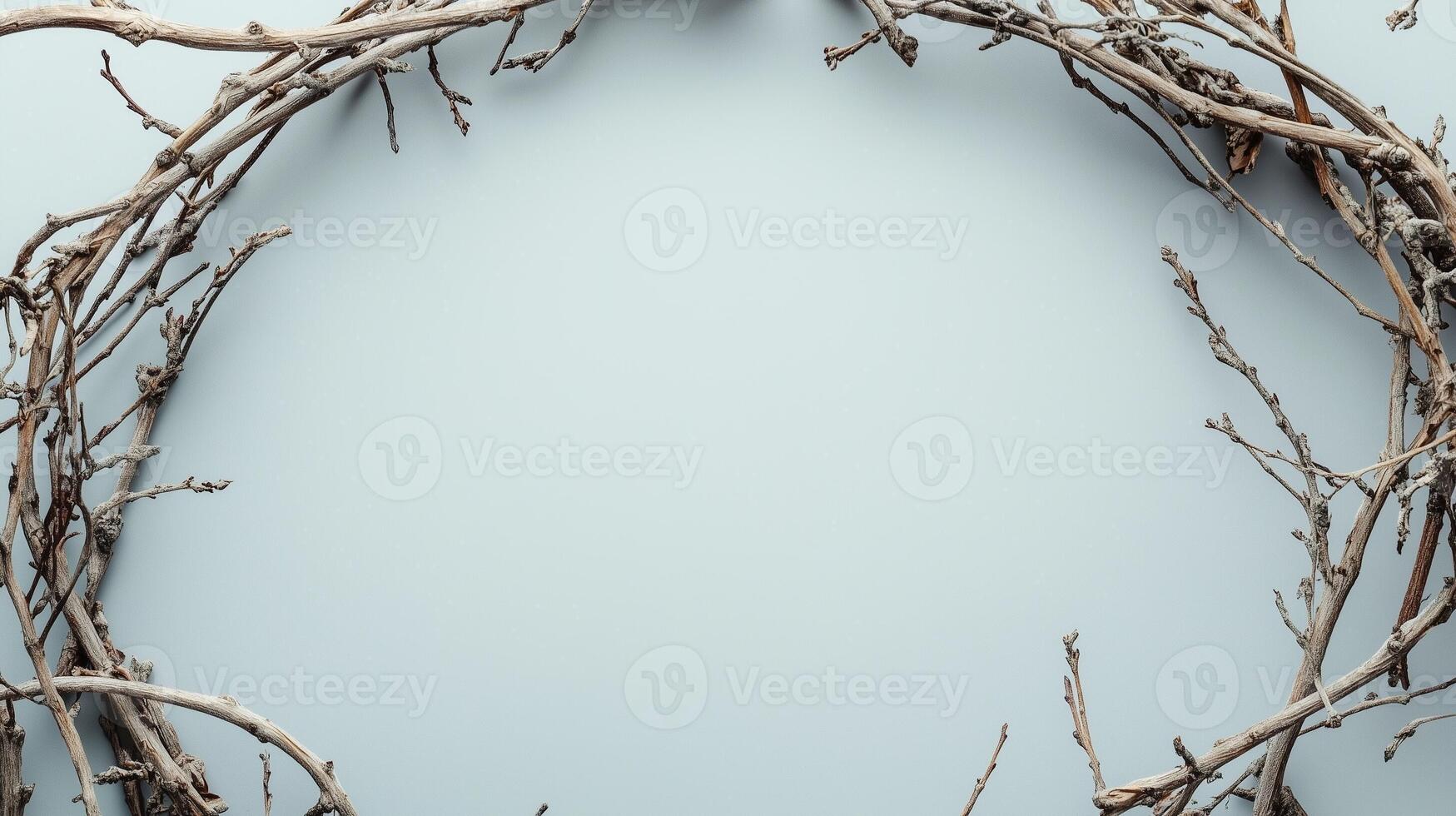 Dried twigs branch rounded frame copy space black cnter white background photo