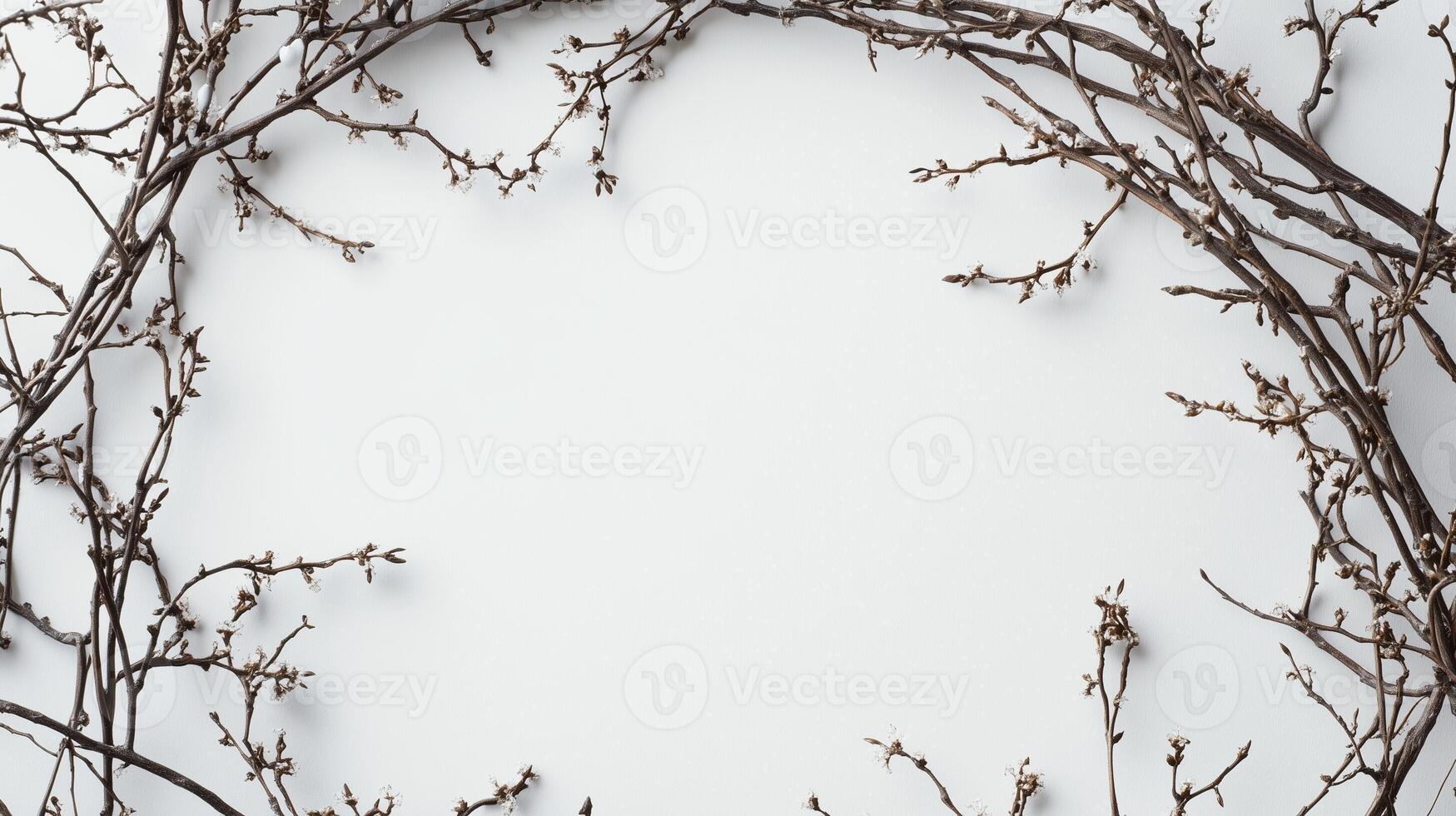 Decorative frame made of circular dry tree branches photo