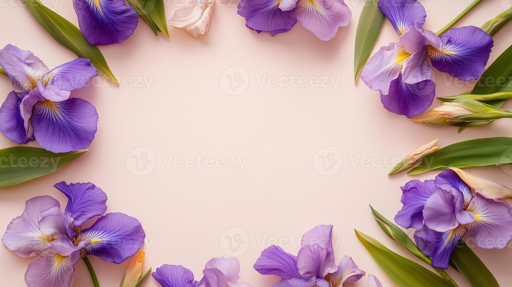 Iris flower and leaves rounded frame blank center space nature background photo