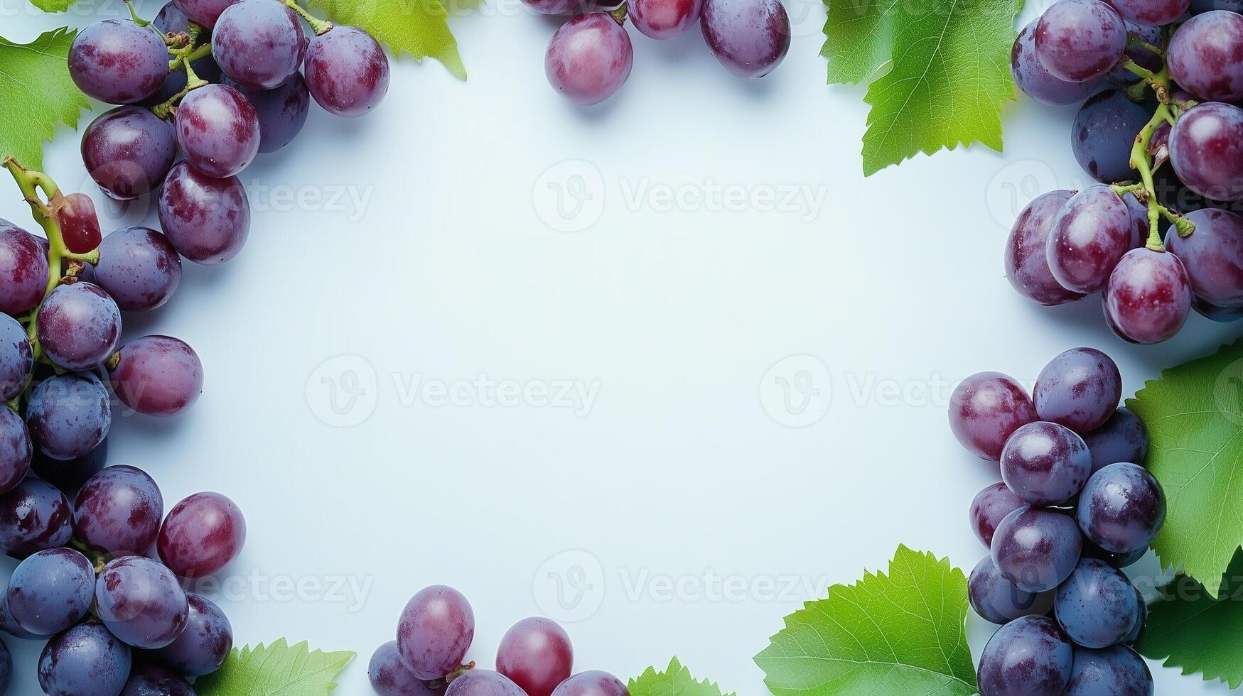 Purple grape healthy organic fruit real food rounded border frame copy space photo