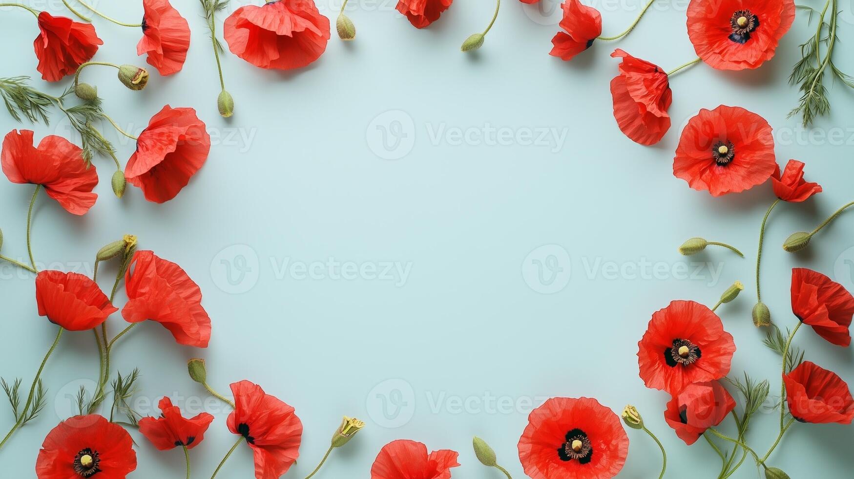 Poppy flower and leaves rounded frame blank center space nature background photo