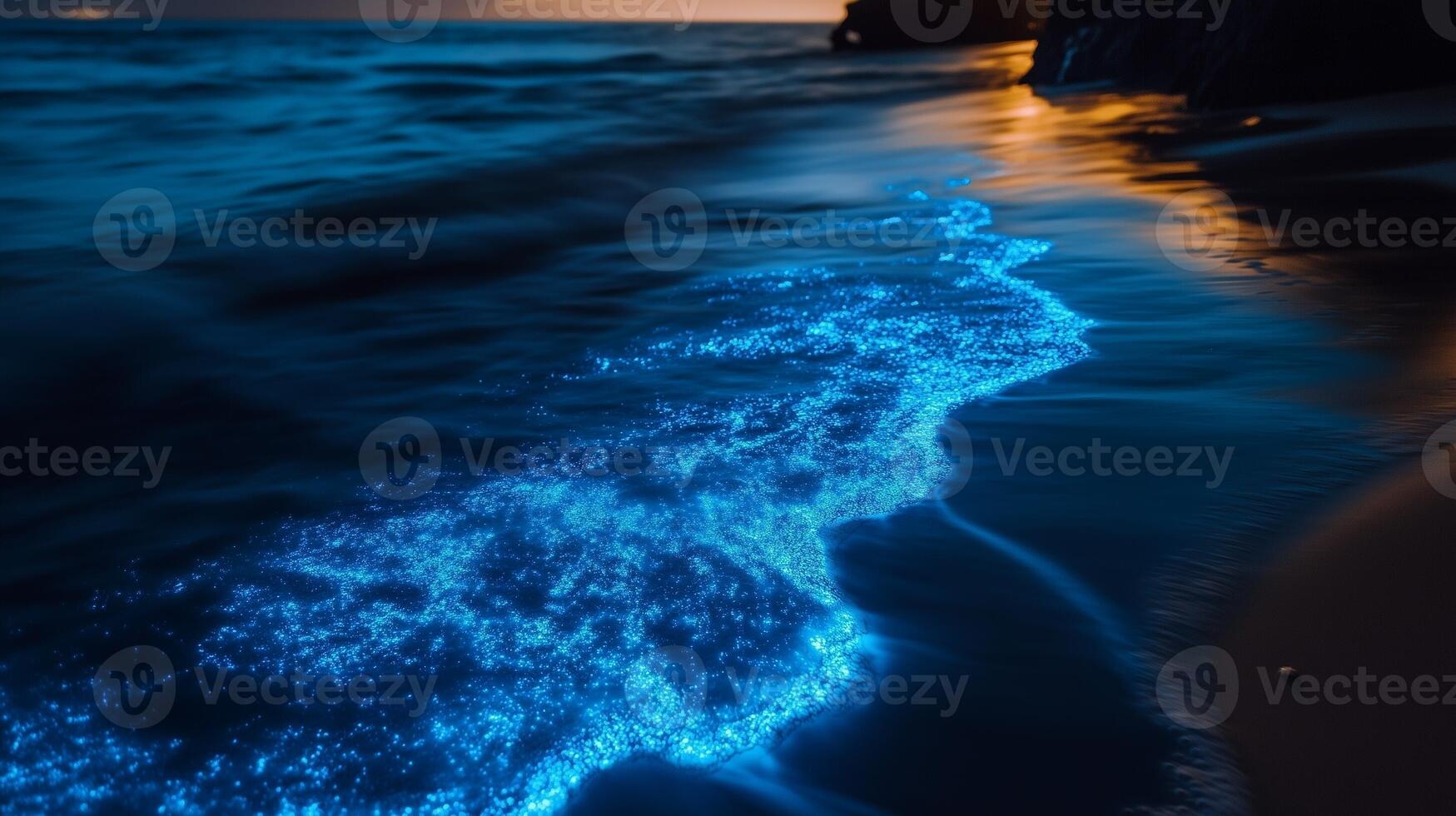 bioluminescence animal sea plankton on beach water line best travel nature view photo