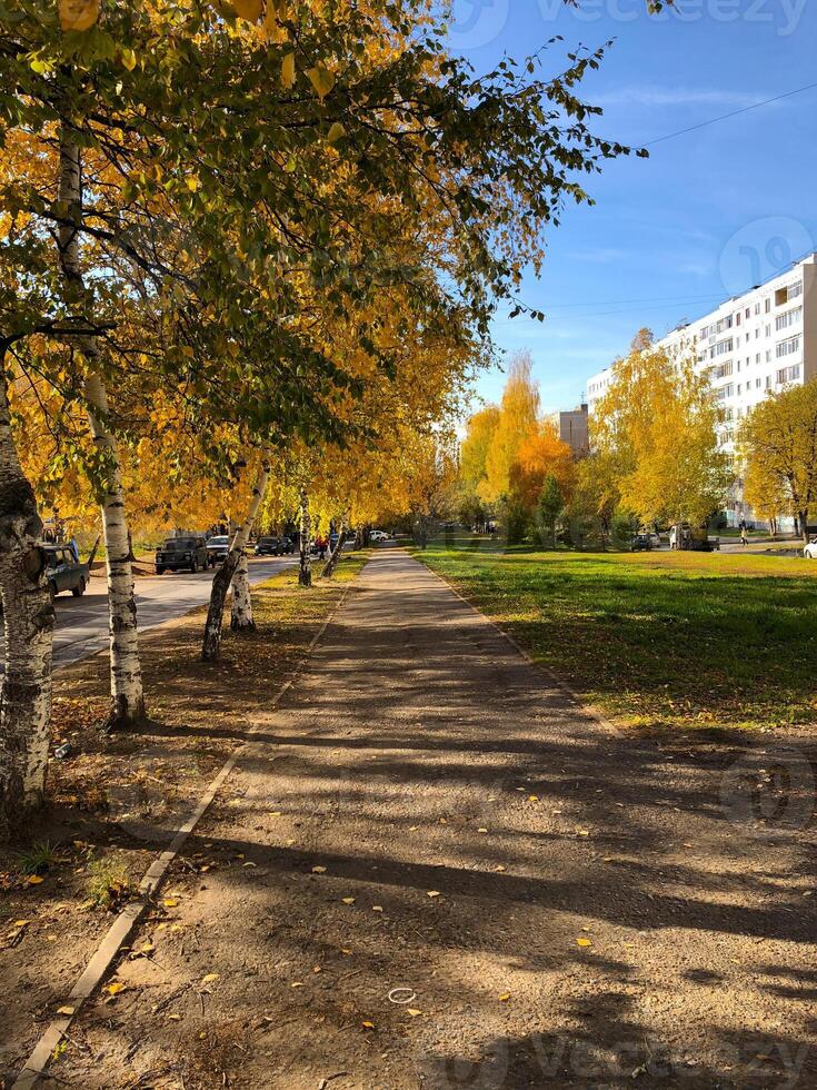 A serene autumn season along a tree-lined pathway, dappled in golden sunlight. Vibrant fall foliage against a backdrop of urban architecture and harmonious blend of nature and city life. photo