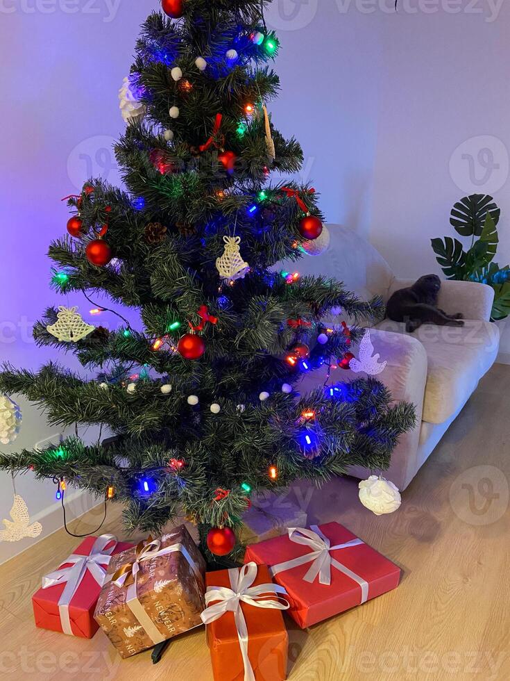 Festive Christmas tree adorned with colorful lights and ornaments stands beside neatly wrapped gifts. Cozy living room and relaxed pet cat on couch make warm holiday atmosphere. photo