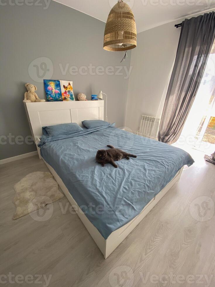 Scandinavian design bedroom with minimalist style and natural light with scottish fold cat. Pet and simple cozy bed photo