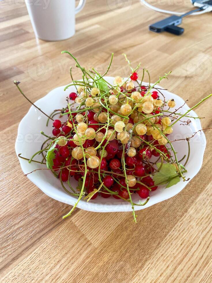 Delightful mix of red and white currants fills a white bowl, capturing the essence of summer freshness. Rustic wooden background enhances the natural, inviting presentation of the berries photo