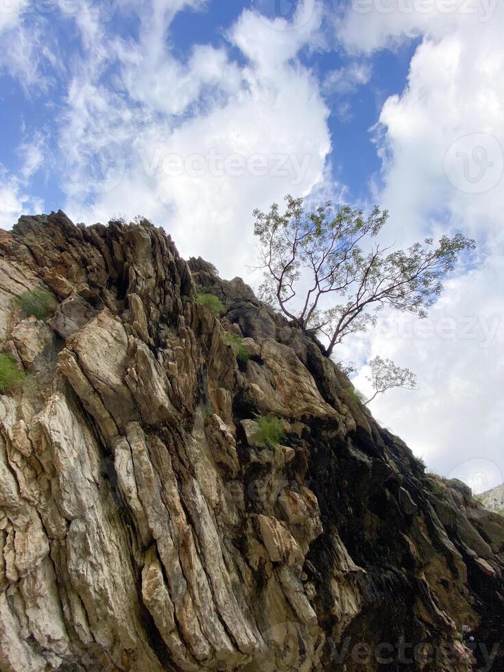 Rugged rock face rises sharply against a backdrop of blue sky dotted with white clouds, showcasing resilience of nature as a lone tree clings to cliffside. photo
