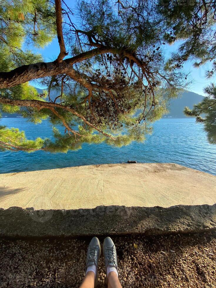 Peaceful moment captured from perspective of someone lounging under a lush, green tree overlooking a clear, blue sea. Nature and relaxation, inviting one to pause and enjoy the tranquility photo