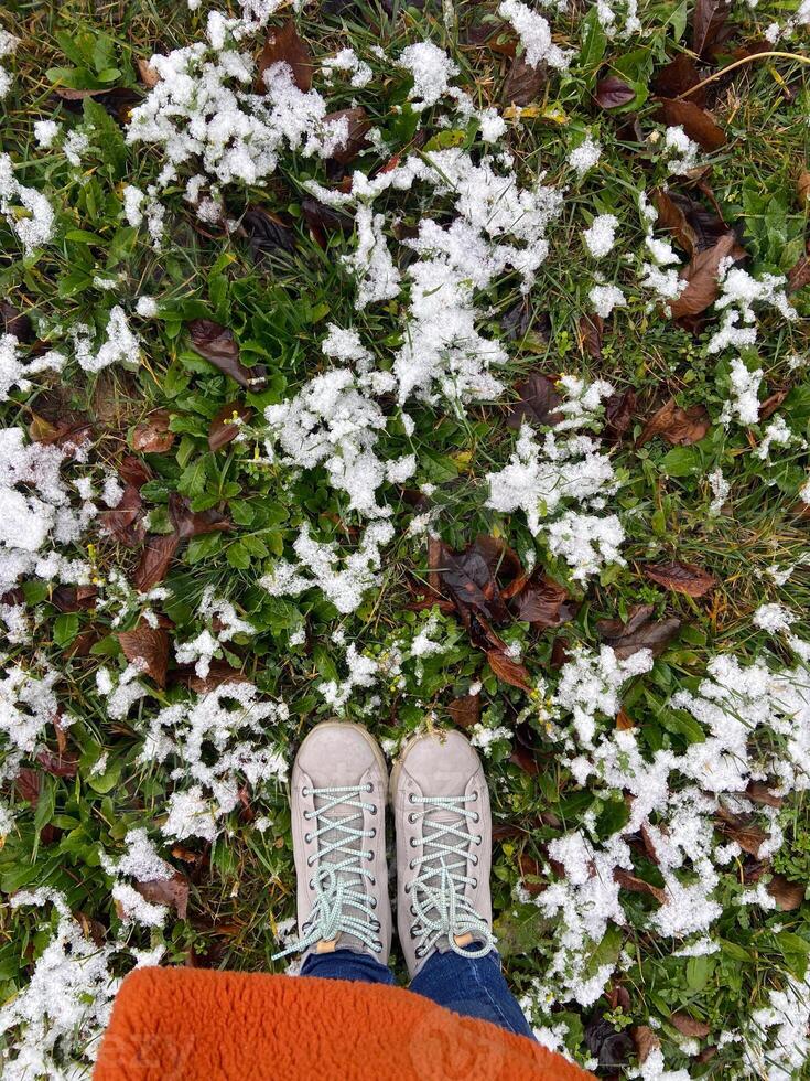 Pair of shoes stands on a snowy patch of grass, capturing the transition between autumn and winter. Crisp contrast of green leaves and white snowflakes creates a vibrant seasonal scene photo