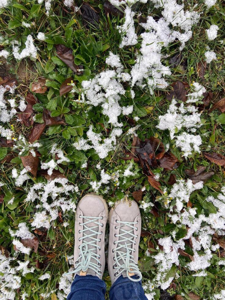 Pair of shoes stands on a snowy patch of grass, capturing the transition between autumn and winter. Crisp contrast of green leaves and white snowflakes creates a vibrant seasonal scene photo