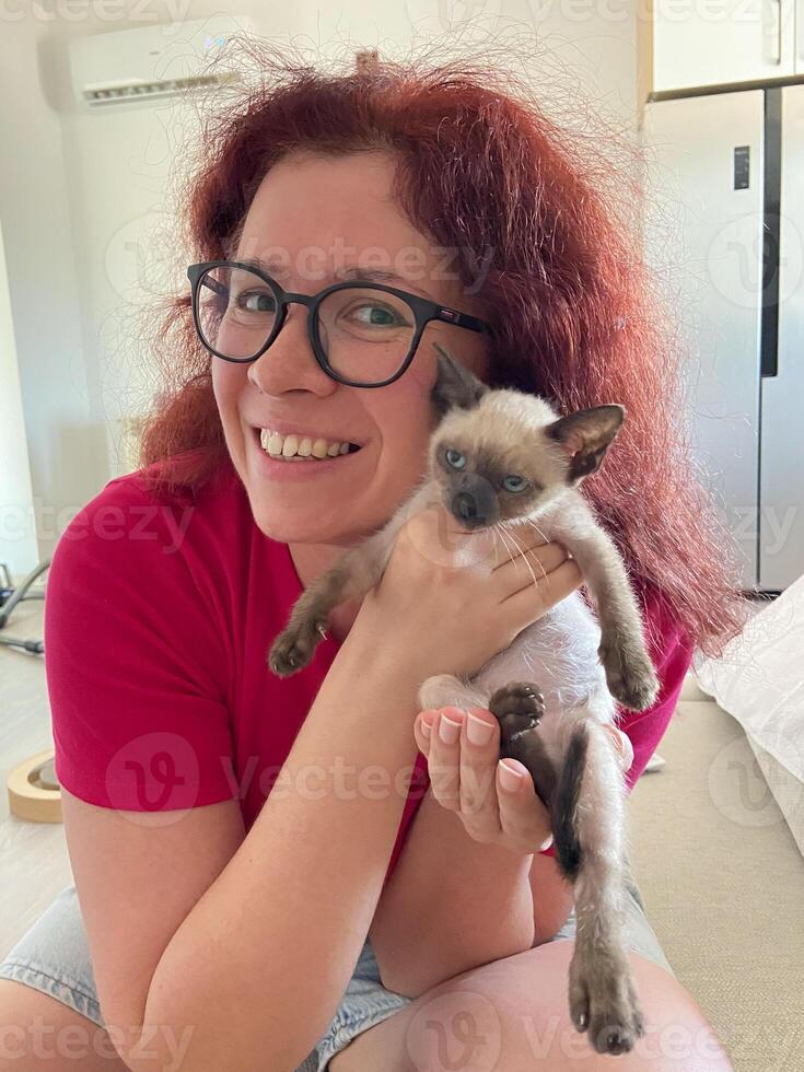 Playful siamese kitten held by a woman in a red shirt. Indoor setting provides a cozy and warm environment, perfect for bonding with a new pet photo