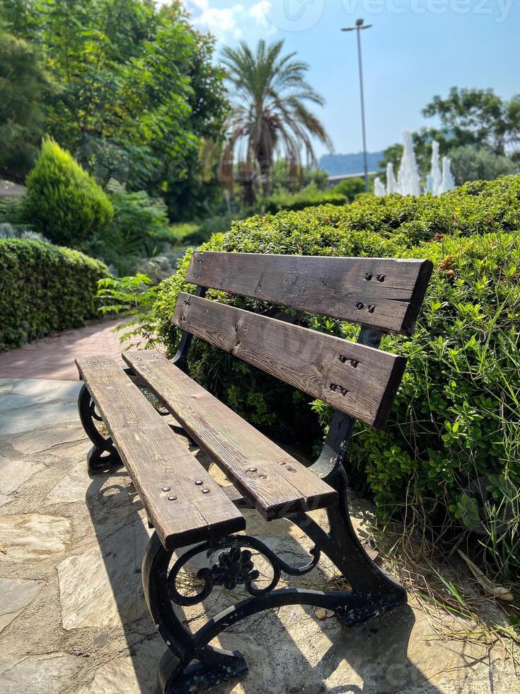 Green park scene featuring a wooden bench surrounded by vibrant greenery and flowers under a clear blue sky. Setting invites relaxation and reflection in nature embrace photo